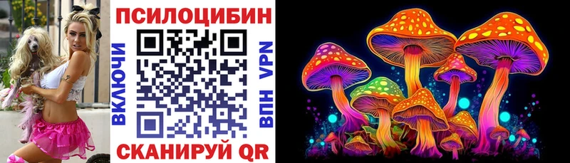 Псилоцибиновые грибы ЛСД  наркошоп  это как зайти  Пудож 
