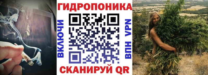 Шишки марихуана марихуана  KRAKEN онион  Пудож 